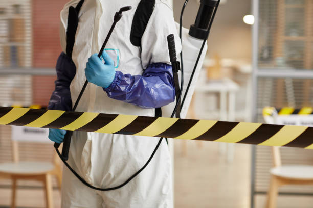 Professional Sewage Cleanup technician working in Nunda, SD